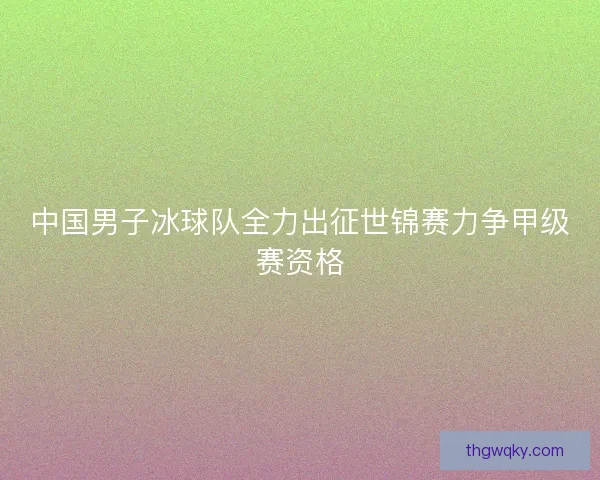 中国男子冰球队全力出征世锦赛力争甲级赛资格
