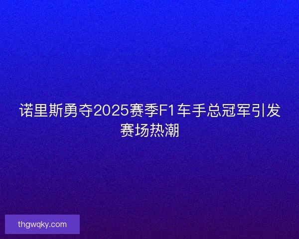 诺里斯勇夺2025赛季F1车手总冠军引发赛场热潮